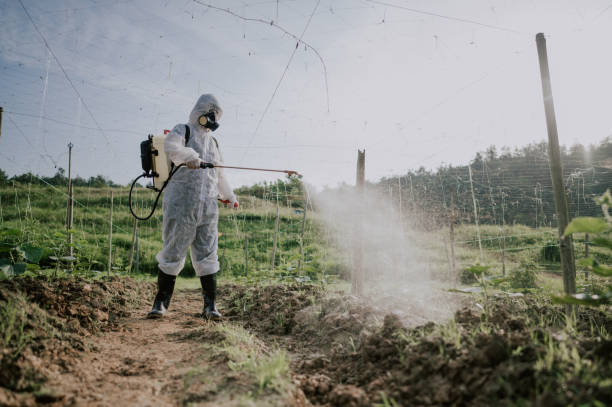 Best Pest Control for Businesses  in Evans, CO