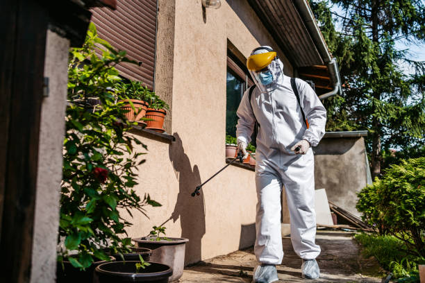 Best Mosquito Control Services  in Evans, CO