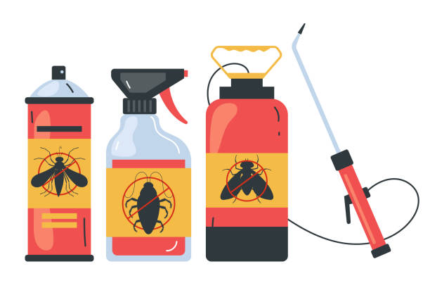 Best Affordable Pest Control Services  in Evans, CO