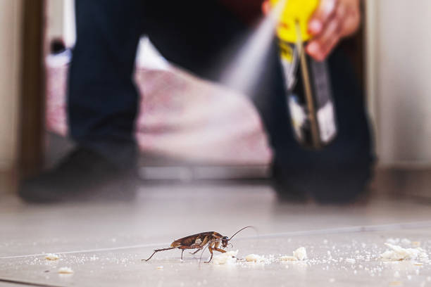 Pest Control for Restaurants in Evans, CO
