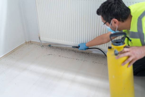 Best Emergency Pest Control  in Evans, CO