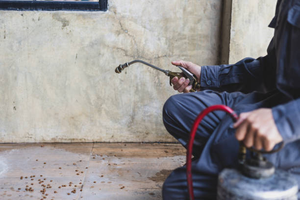 Best Best Pest Control Companies  in Evans, CO
