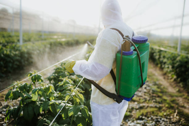 Best Exterminator Services  in Evans, CO